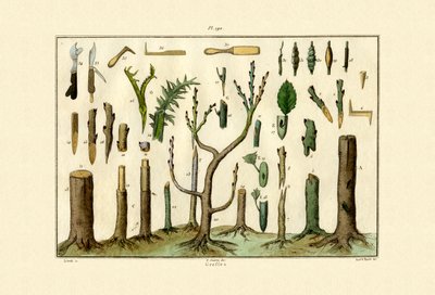 Podning, 1833-39 af French School
